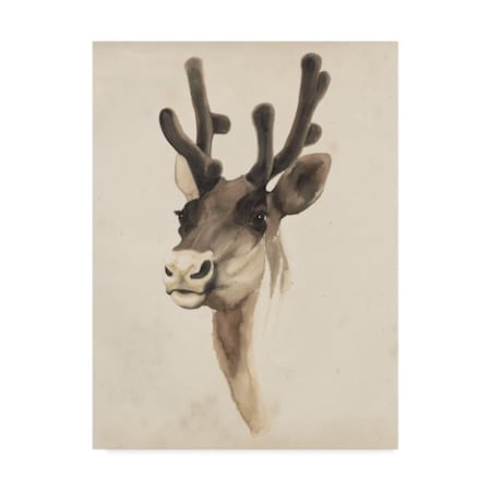 Grace Popp 'Watercolor Animal Study Iii' Canvas Art,18x24